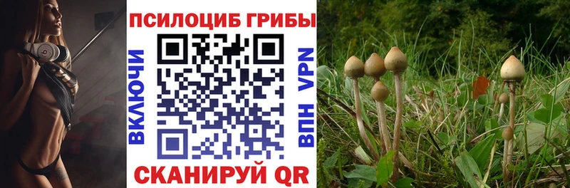цена наркотик Плёс Псилоцибиновые грибы Magic Shrooms